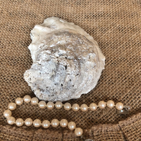 Oyster Shell Ring & Trinket Dish - Picture 6 of 9